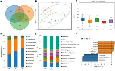 Responses of rumen microorganisms and metabolites to different roughage of domesticated Tibetan sheep